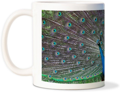 87% OFF on AMY Peacock Beauty Dancing Ceramic Mug