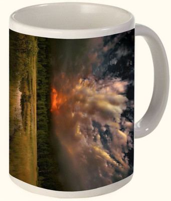 60% OFF on Timpax Most Popular & Best Selling Printed Ceramic 325 ML Dishwasher safe. D.No. R-2122 Ceramic Mug 325 ml