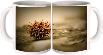 25% OFF on Shopkeeda Creature Ceramic Mug 350 ml