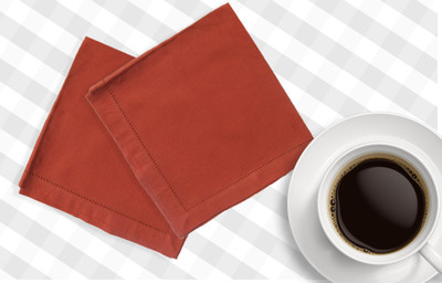 20% OFF on Airwill Multicolor Set of 2 Napkins 20% OFF on Airwill Multicolor Set of 2 Napkins