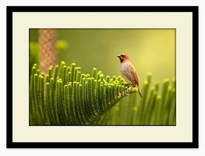 51% OFF on Bello Photo Frames MDF Photo Frame