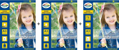 26% OFF on GoColor 320 gsm Unruled A4 Canvas Inkjet Paper (Combo)