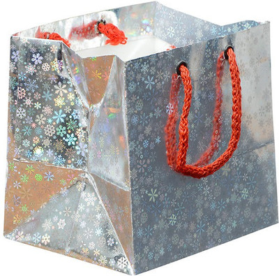 20% OFF on Bdpp Paper Processers Silver Mettalic Printed Party Bag 20% OFF on Bdpp Paper Processers Silver Mettalic Printed Party Bag