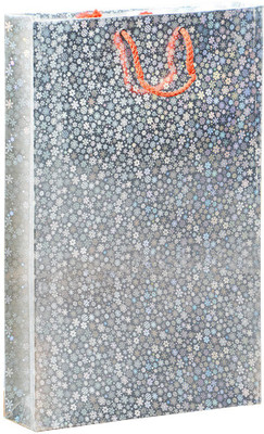 45% OFF on Bdpp Paper Processers Silver Mettalic Printed Party Bag 45% OFF on Bdpp Paper Processers Silver Mettalic Printed Party Bag