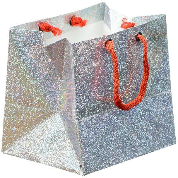 40% OFF on Bdpp Paper Processers Silver Mettalic Printed Party Bag 40% OFF on Bdpp Paper Processers Silver Mettalic Printed Party Bag