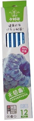 15% OFF on Little Tree 3073 Round Shaped Pencils 15% OFF on Little Tree 3073 Round Shaped Pencils