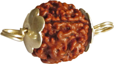 Galaxy Five Mukhi Rudraksha Silver Locket Galaxy Five Mukhi Rudraksha Silver Locket