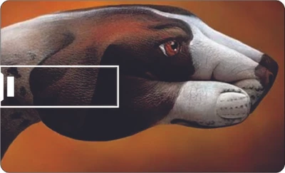 57% OFF on Printland Credit Card Brown 8 GB Pen Drive 57% OFF on Printland Credit Card Brown 8 GB Pen Drive