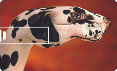 61% OFF on Printland Credit Card Red 8 GB Pen Drive 61% OFF on Printland Credit Card Red 8 GB Pen Drive