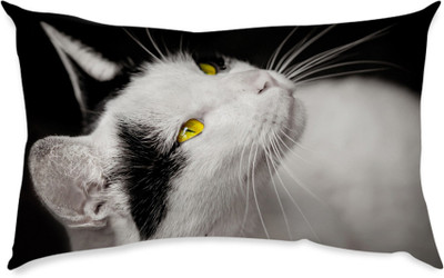 81% OFF on Shopkeeda Kids Pillow Printed Back Cushion