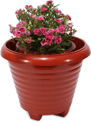 16% OFF on Joy Living Garden Plant Container Set Pack of 3, Plastic 16% OFF on Joy Living Garden Plant Container Set Pack of 3, Plastic