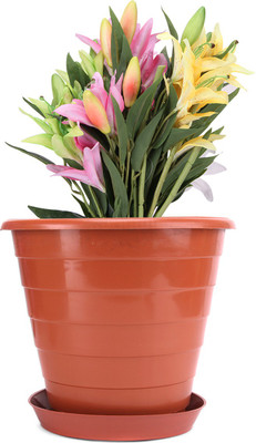35% OFF on Blessed Ring Plant Container Set Pack of 3, Plastic 35% OFF on Blessed Ring Plant Container Set Pack of 3, Plastic