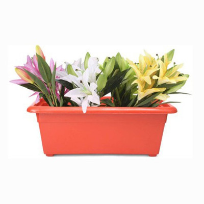 Toygully Window Plant Container Set Pack of 2, Plastic Toygully Window Plant Container Set Pack of 2, Plastic