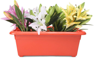 44% OFF on Blessed Window Plant Container Set Pack of 2, Plastic 44% OFF on Blessed Window Plant Container Set Pack of 2, Plastic