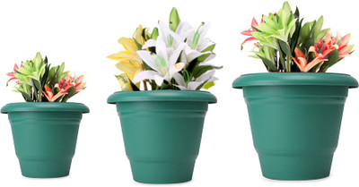 46% OFF on Blessed Ring Plant Container Set Pack of 6, Plastic 46% OFF on Blessed Ring Plant Container Set Pack of 6, Plastic