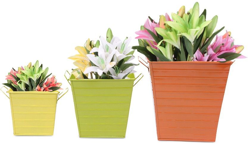 17% OFF on Blessed Garden Plant Container Set Pack of 3, Metal 17% OFF on Blessed Garden Plant Container Set Pack of 3, Metal