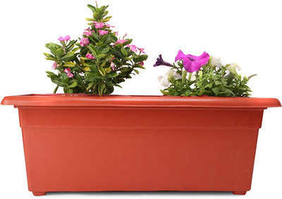 18% OFF on Blessed Window Plant Container Set Pack of 2, Plastic 18% OFF on Blessed Window Plant Container Set Pack of 2, Plastic