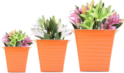 41% OFF on Blessed Garden Plant Container Set Pack of 3, Metal 41% OFF on Blessed Garden Plant Container Set Pack of 3, Metal