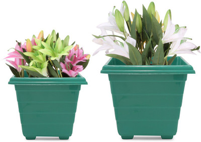 35% OFF on Blessed Plant Container Set Pack of 2, Plastic 35% OFF on Blessed Plant Container Set Pack of 2, Plastic