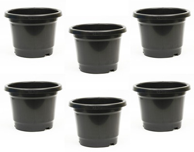 Natures Plus Home Garden Plant Container Set Pack of 6, Plastic Natures Plus Home Garden Plant Container Set Pack of 6, Plastic