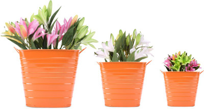 20% OFF on Blessed Garden Plant Container Set Pack of 3, Metal