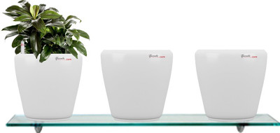 53% OFF on Yuccabe Italia Combo for 3 Stoic White Self Watering planter Plant Container Set Pack of 3, Plastic