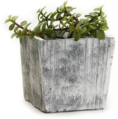 33% OFF on Aapno Rajasthan Plant Container