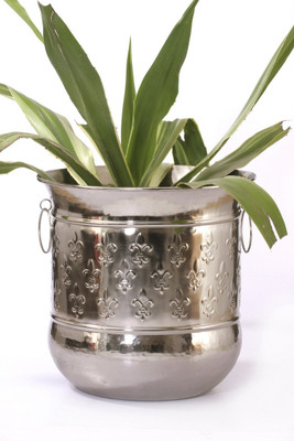 Goyal India Plant Container