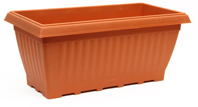 1% OFF on Natures Plus Plant Container 1% OFF on Natures Plus Plant Container