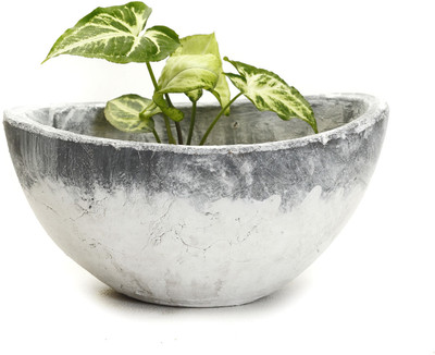 31% OFF on Aapno Rajasthan Plant Container