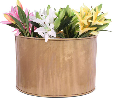 26% OFF on Blessed Plant Container