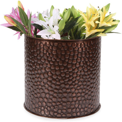 24% OFF on Blessed Plant Container