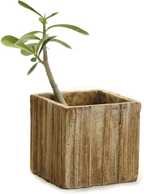 33% OFF on Aapno Rajasthan Plant Container