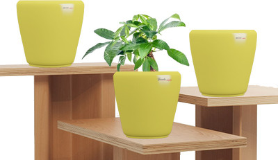 49% OFF on Yuccabe Italia Plant Container