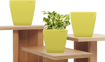49% OFF on Yuccabe Italia Plant Container