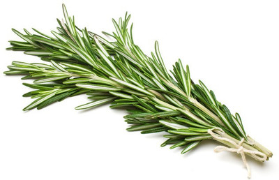 66% OFF on E-plant Rosemary seeds Seed 50 per packet