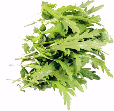 58% OFF on E-plant All Seasons Seed 40 per packet 58% OFF on E-plant All Seasons Seed 40 per packet