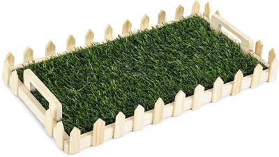 PoppadumArt Central Park Small Solid Wood Tray Green, Pack of 1 PoppadumArt Central Park Small Solid Wood Tray Green, Pack of 1