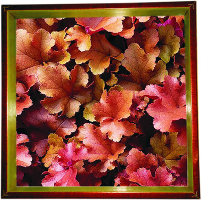 62% OFF on Panache Serves Hammered Wood Tray Multicolor, Pack of 1