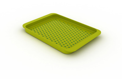 40% OFF on JosephJoseph Grip Serving Small Solid Plastic Tray Green, Pack of 1 40% OFF on JosephJoseph Grip Serving Small Solid Plastic Tray Green, Pack of 1