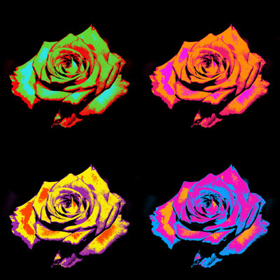 50% OFF on Colourful Flowers 82 Canvas Art