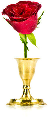 50% OFF on Rose in Paper Print