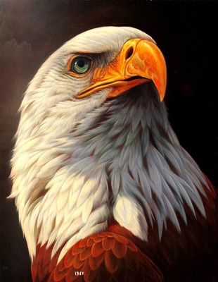 81% OFF on Canvas painting without frame - Egale View Canvas Art