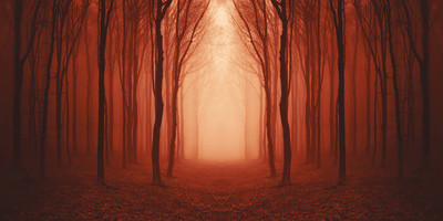 68% OFF on Nature Painting Canvas Art