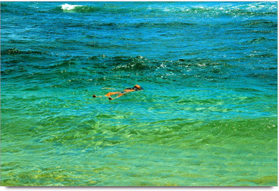 50% OFF on Swim on sea Paper Print