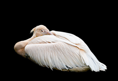 50% OFF on Do not Canvas Art