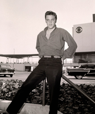 12% OFF on Elvis Presley Fine Art Print