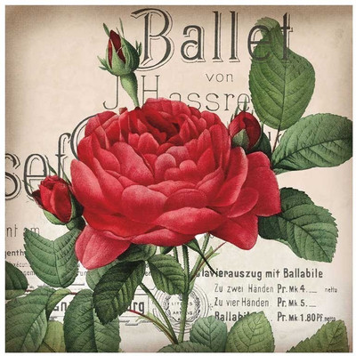 Montage - Scent Of A Rose I Fine Art Print