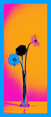Gerbera in Paper Print Gerbera in Paper Print