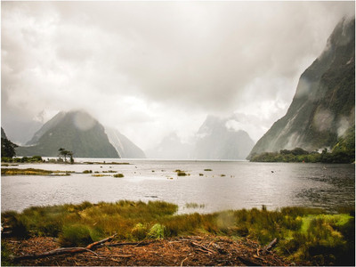 67% OFF on Rajo Raja Newlands Poster Paper Print